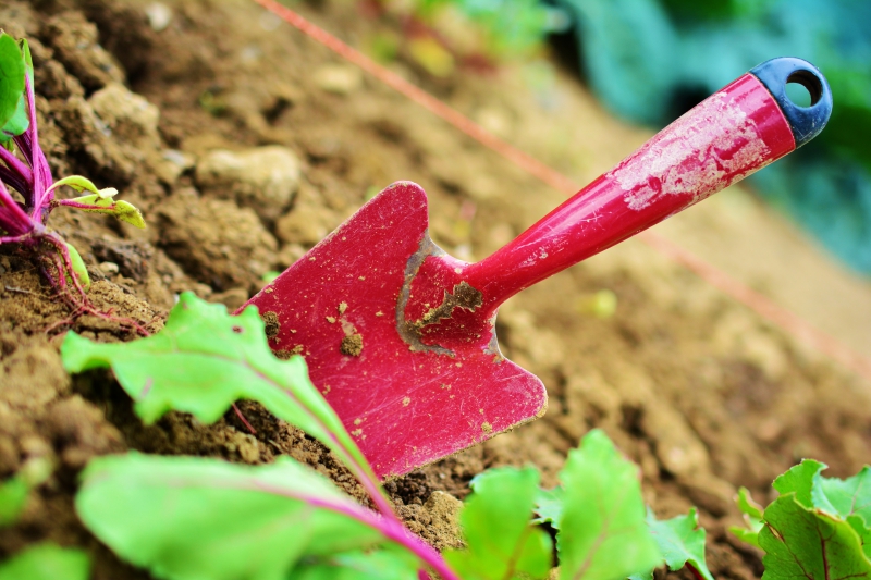 sasu-ROQUEBRUNE CAP MARTIN-min_gardening-2448134